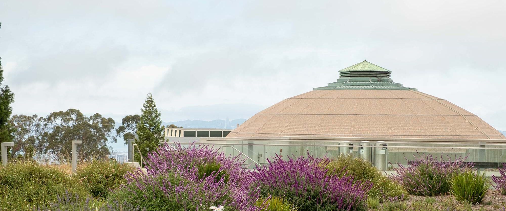 A terracotta colored dome-roof behind colorful foliage.