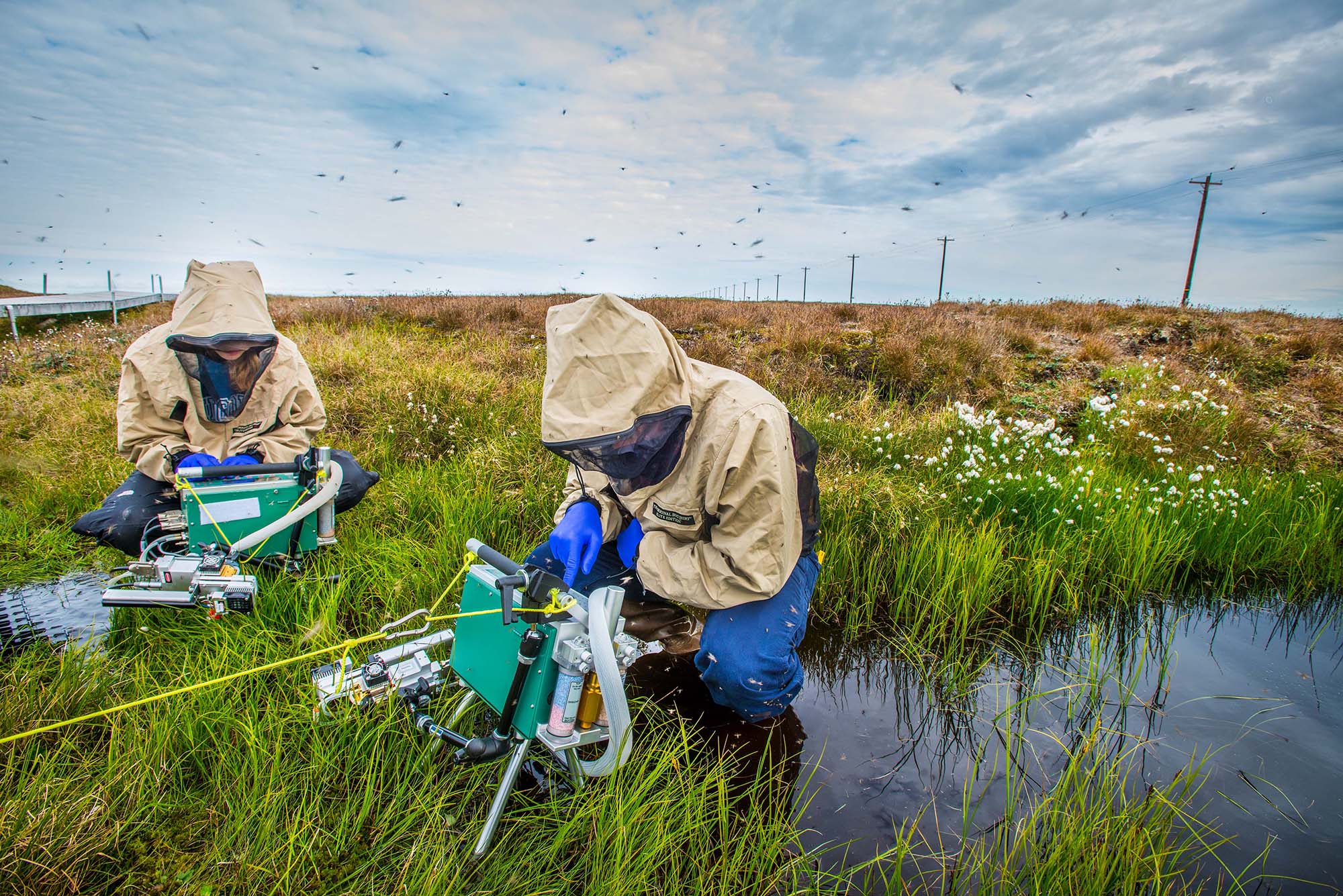 Two researchers in a water-soaked grass field conducting an experiment.