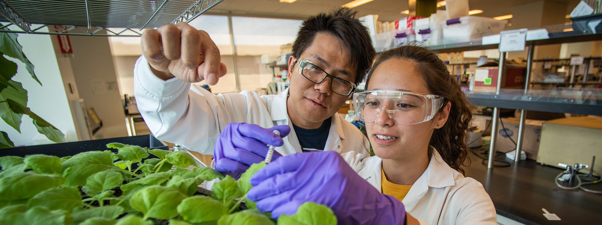 Student and mentor talking over a group of small plants in a lab.