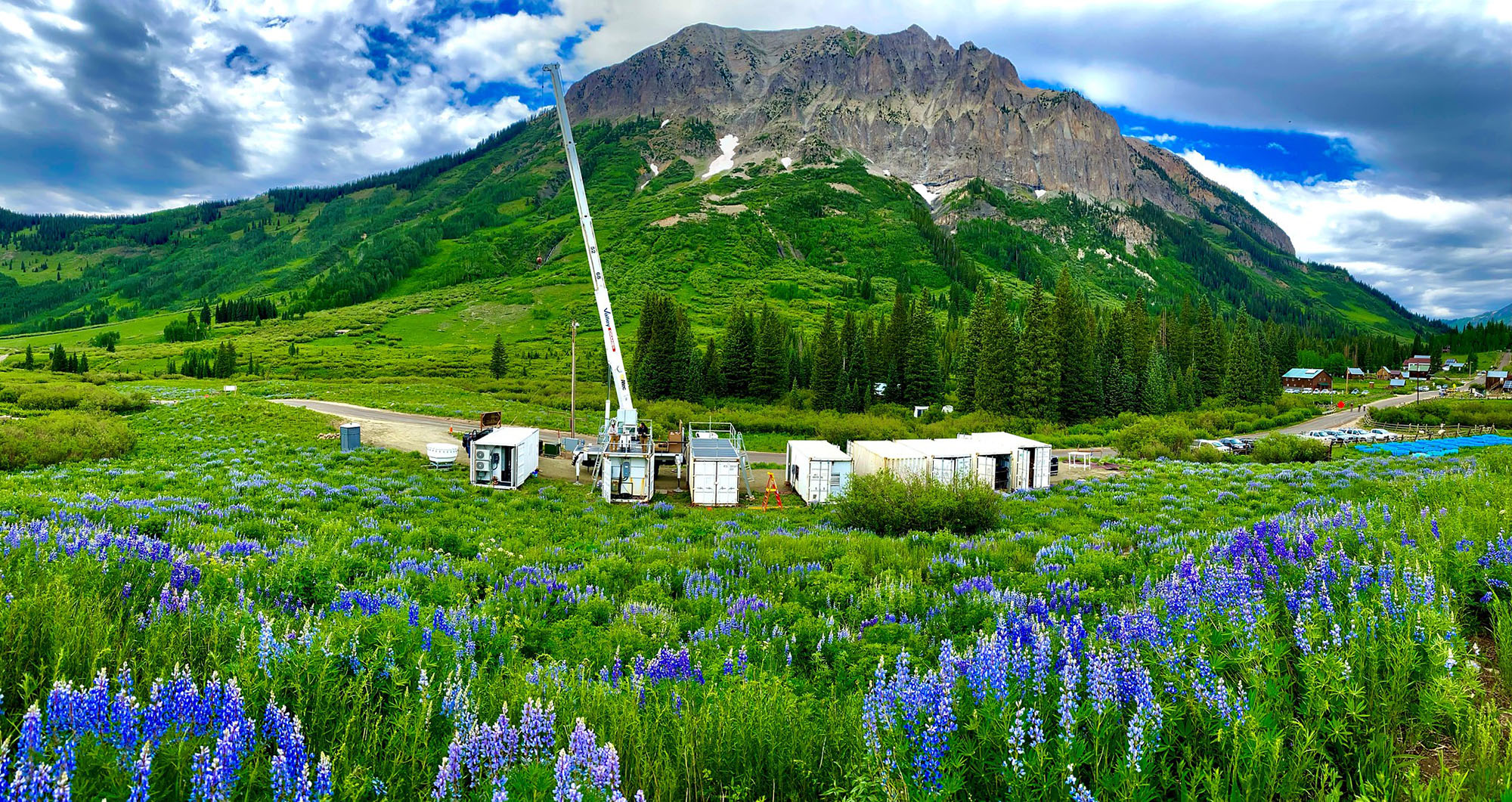 Blue wildflowers in front of a field of scientific instruments and green mountains.