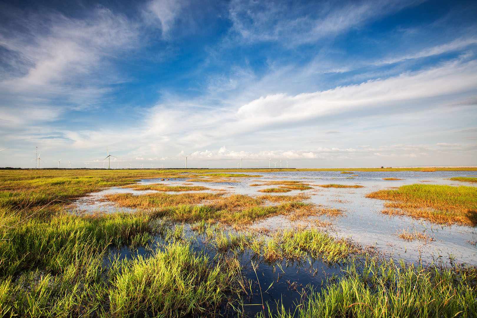 Wet marsh and coastline with wind turbines in the background.