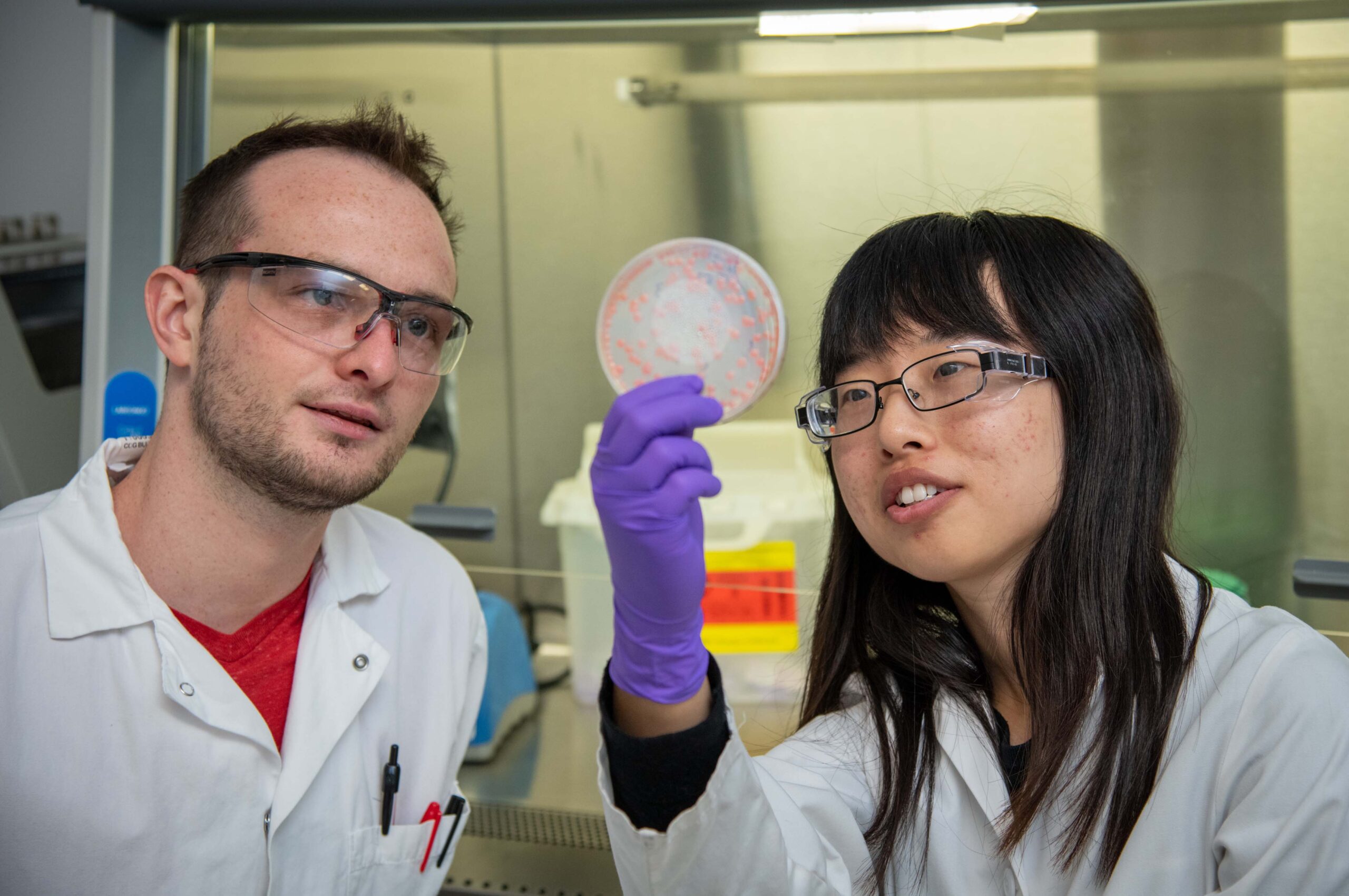 Two scientists looking at a plate sample.