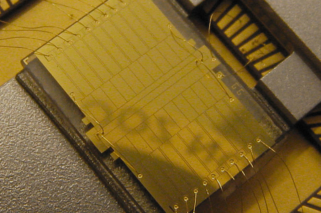 Close-up of a gold microchip.