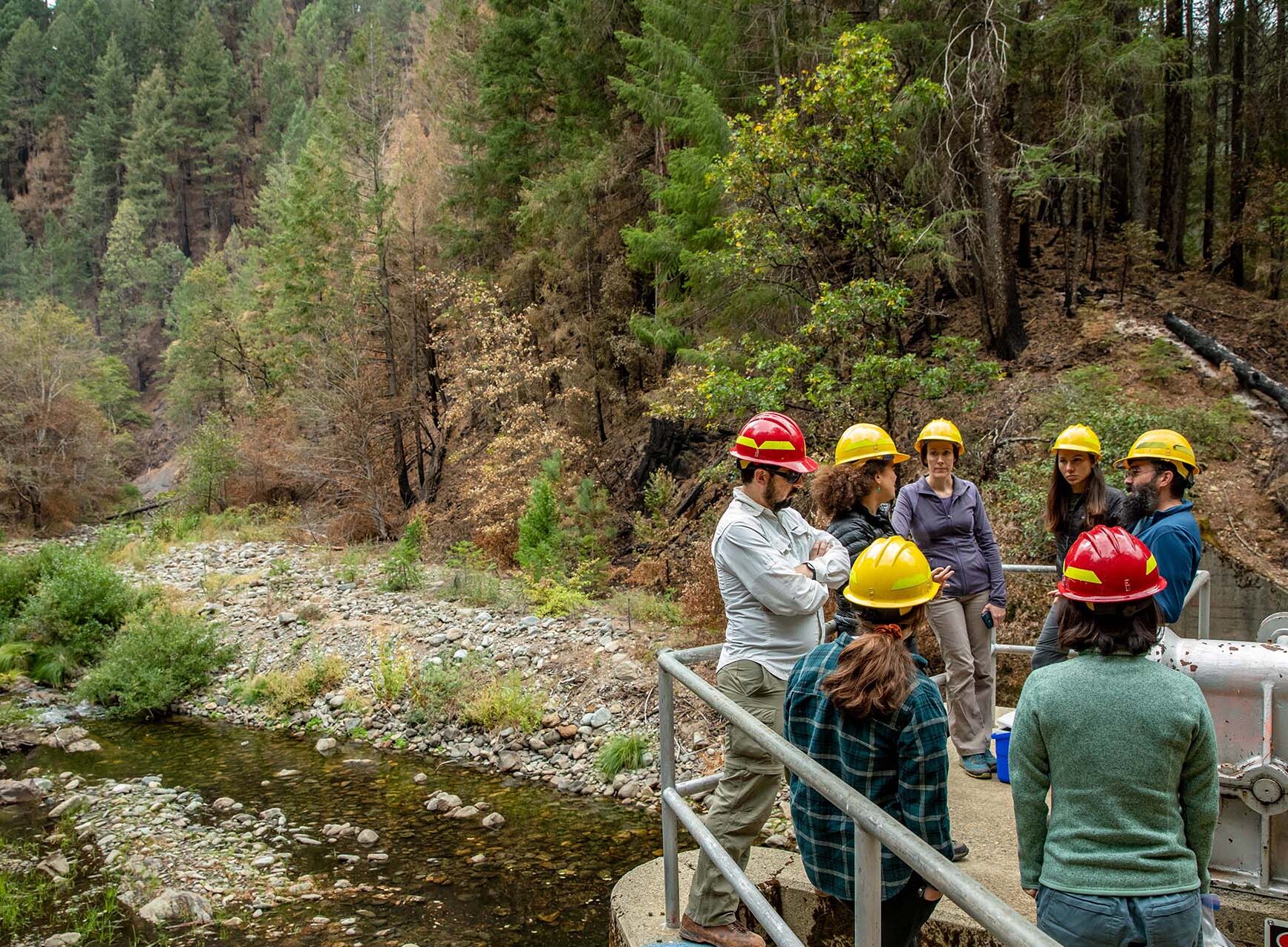 Group of researchers in yellow hard hats gather in front of a forested California watershed.