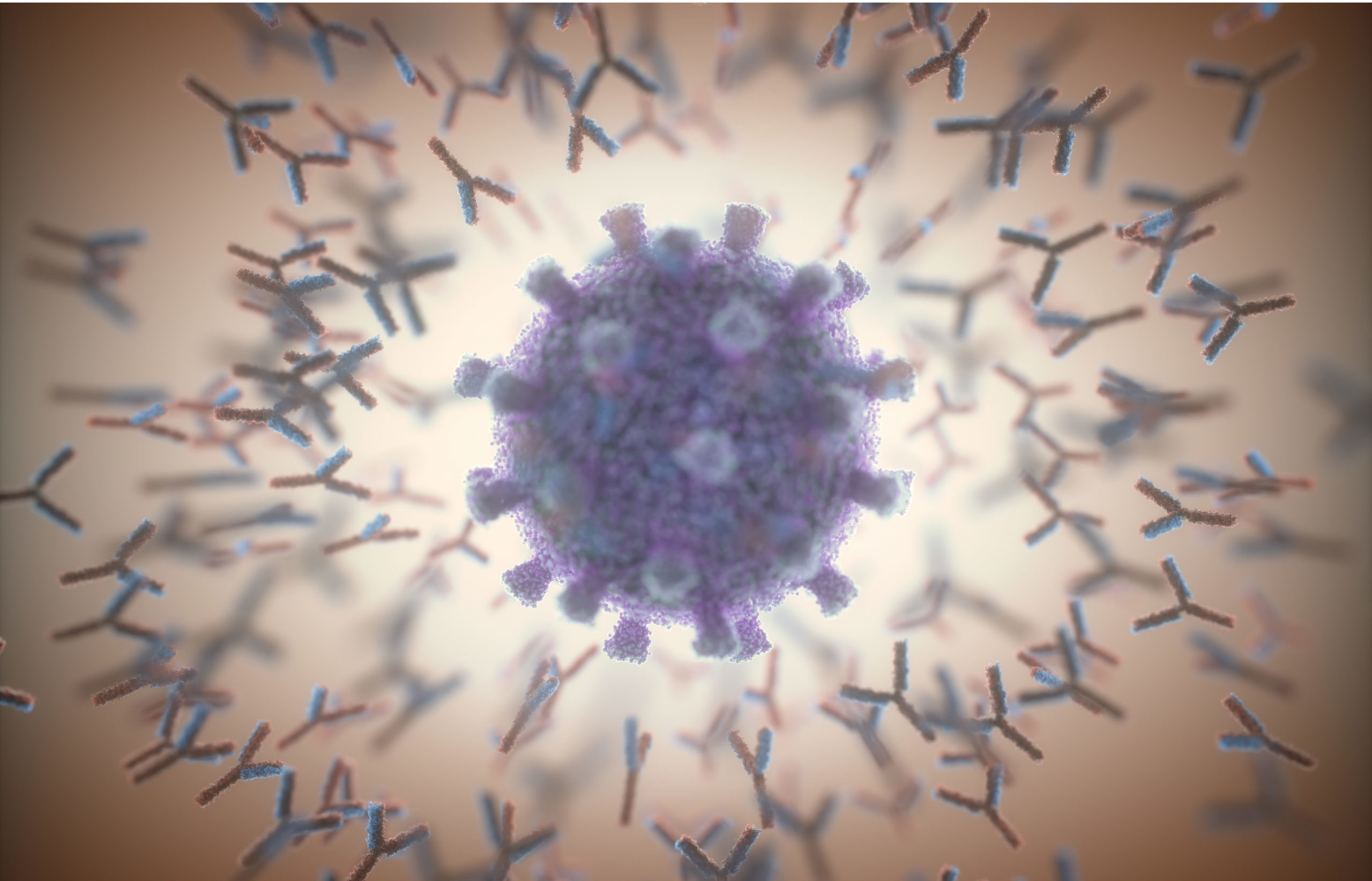 An artistic rendering of antibodies surrounding a SARS-CoV-2 particle.