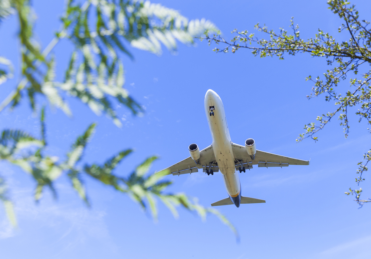 Plane flying overhead framed by trees.