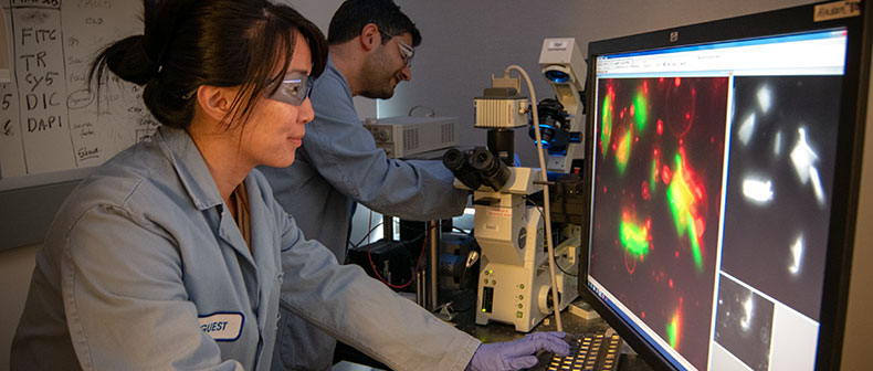 Scientists working at a colorful computer.