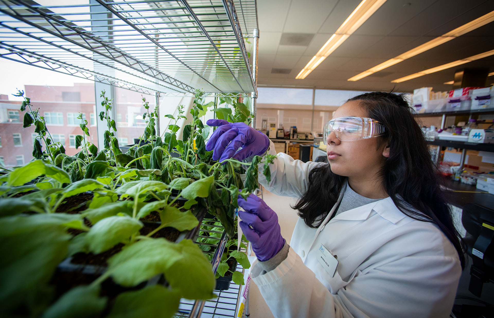 Scientist in goggles adjusting small plants in a lab.