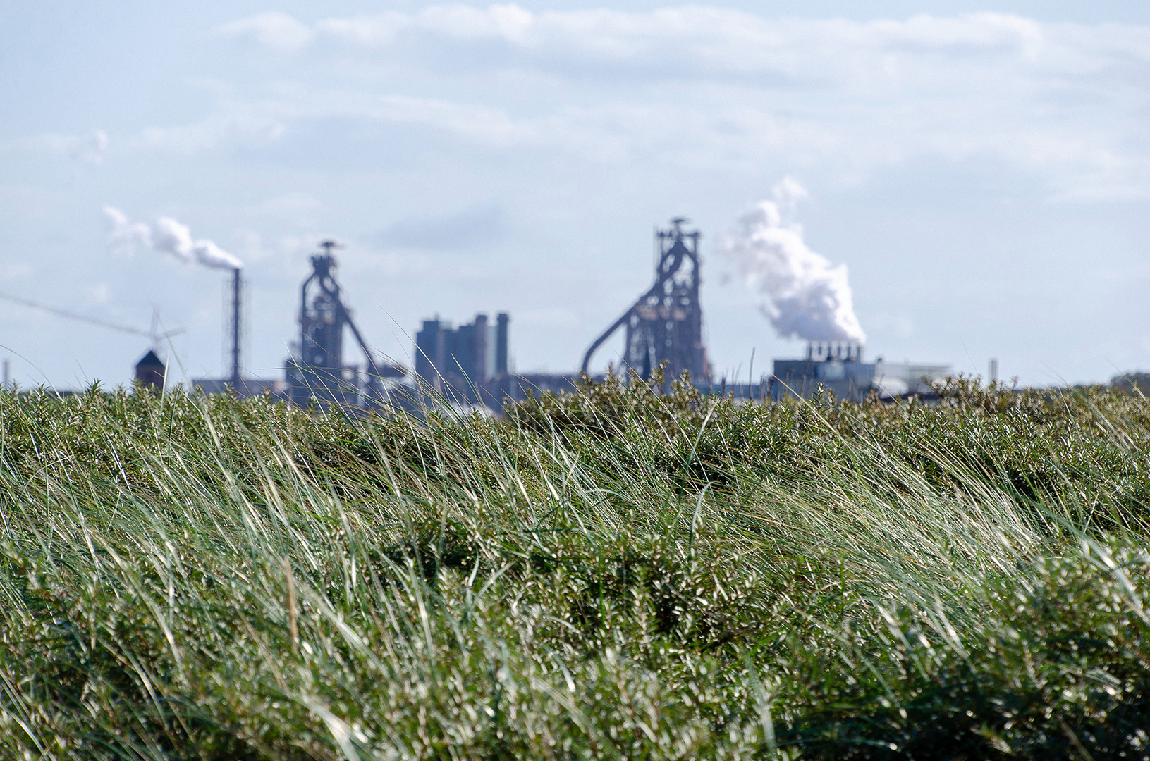 Long grass in front of a smoking factory.