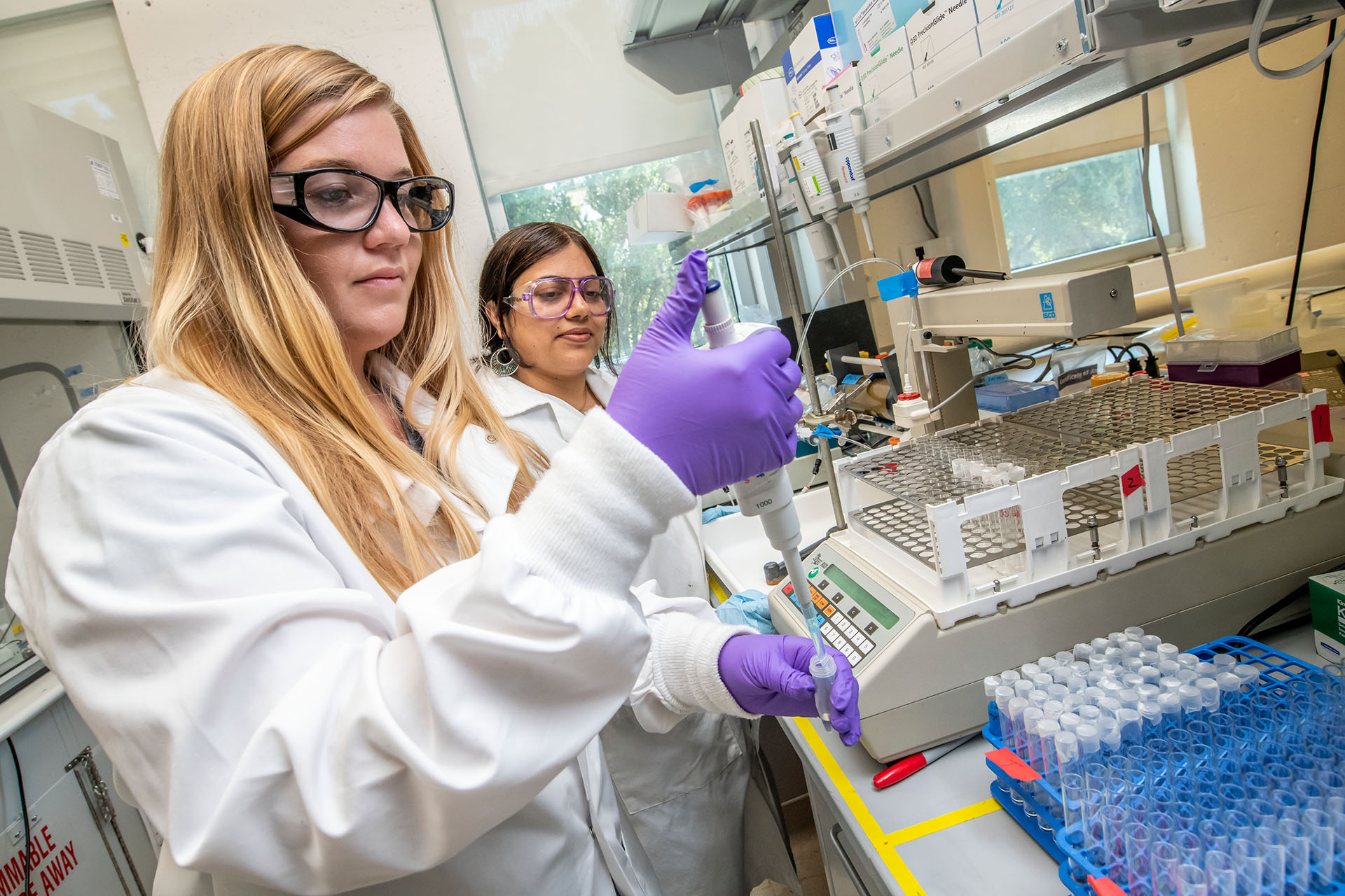 Two scientists working in a laboratory.