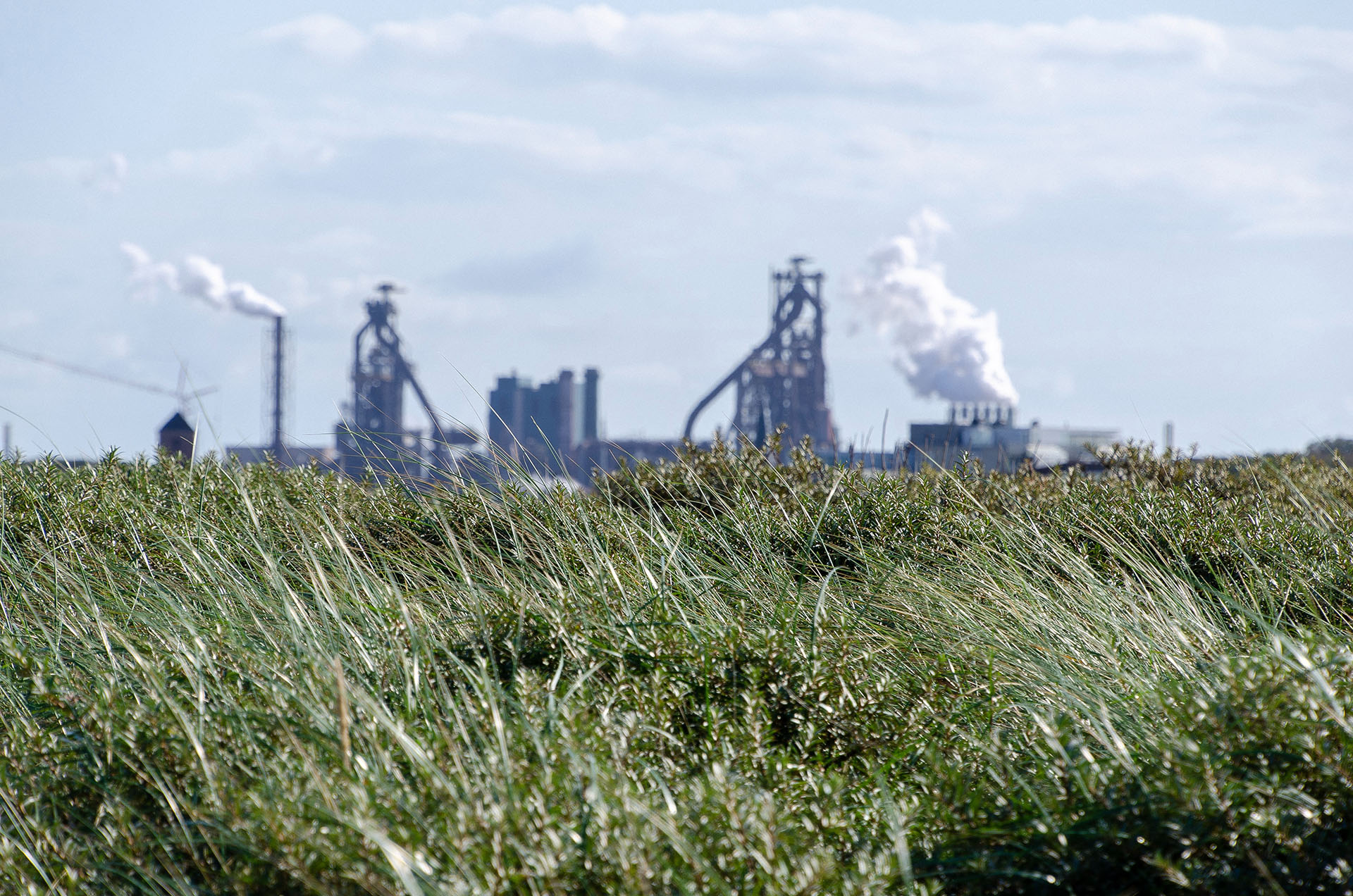 Grassy field in front of a factory.