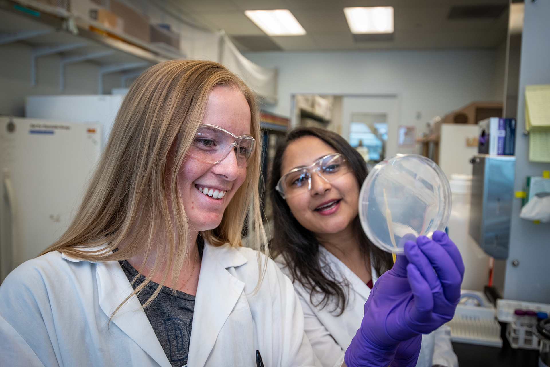 Two scientists looking at a petri dish.