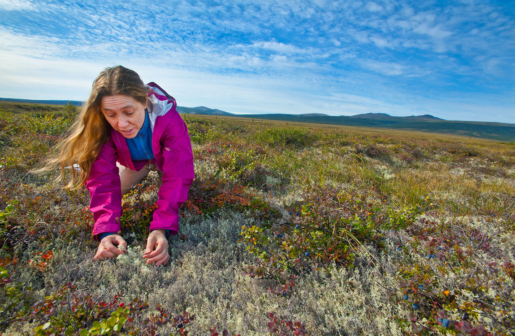 Scientist Margaret Torn collecting soil samples in a field.