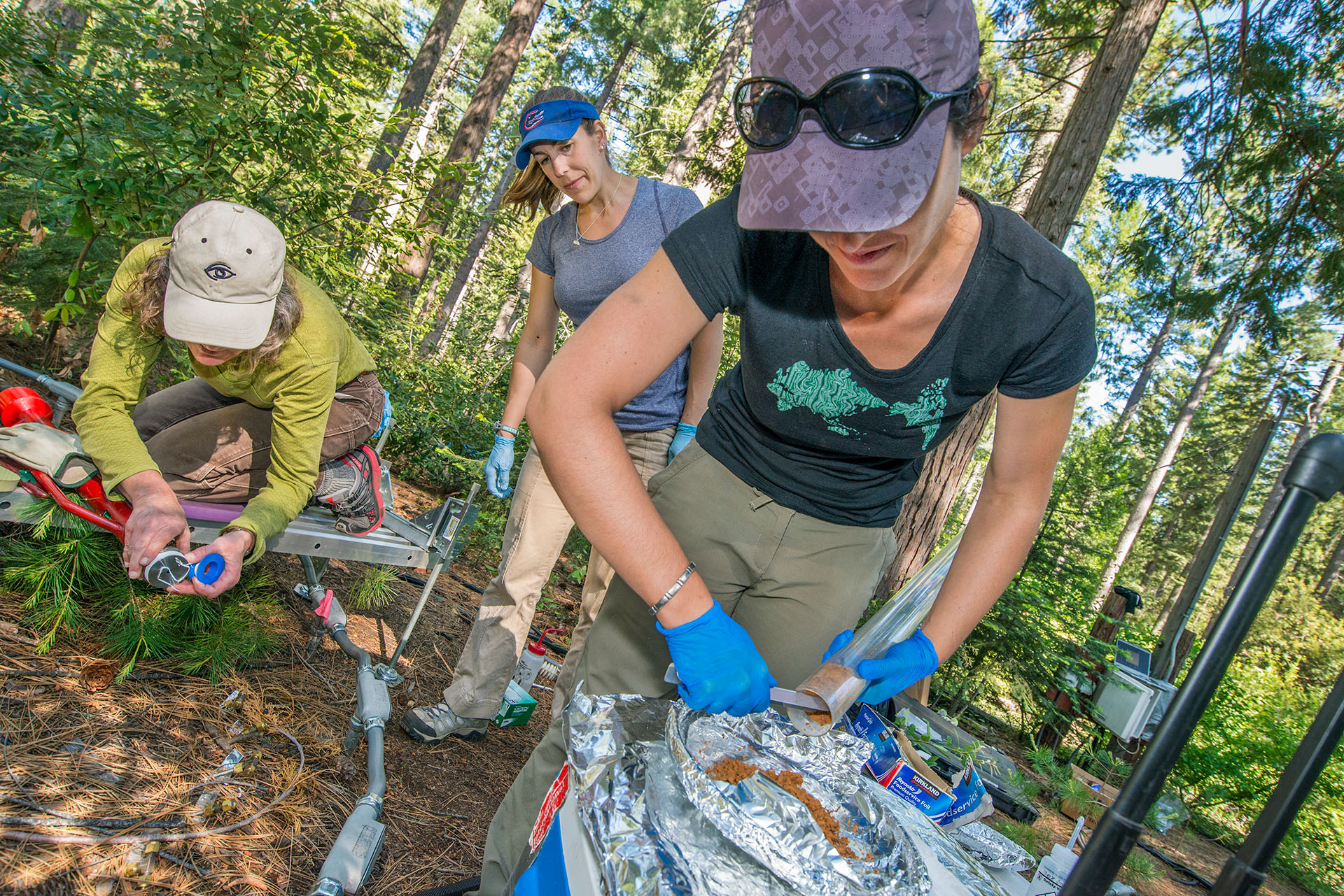 Three scientists taking carbon soil measurements in a forest.