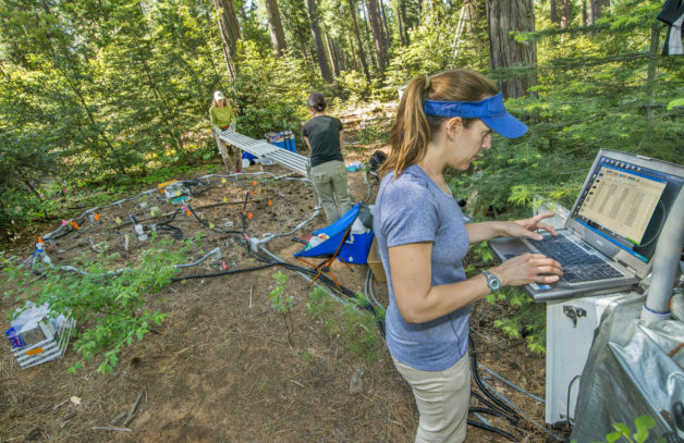 Scientists taking carbon soil measurements in a forest.