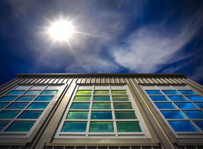 Upward view of a high-performance window system with sun shining in the background.