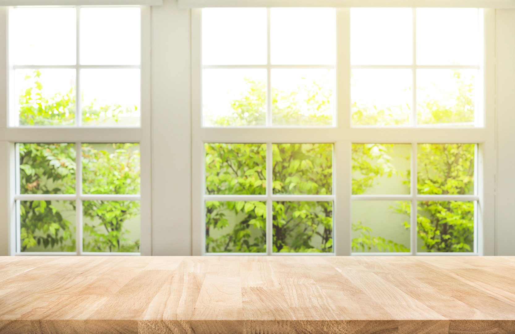 Sunlight streams through white window panes.