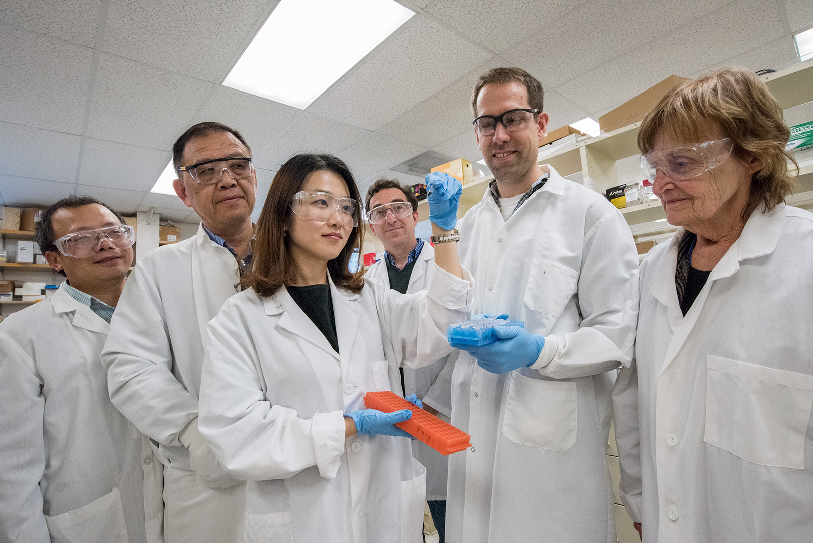 A group of scientists look over blood samples of mice in their lab.