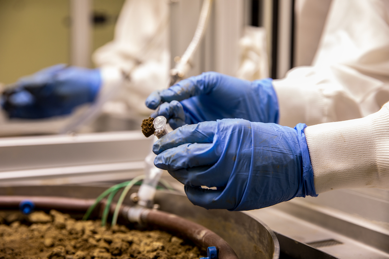 Gloved hands collect sample from soil.