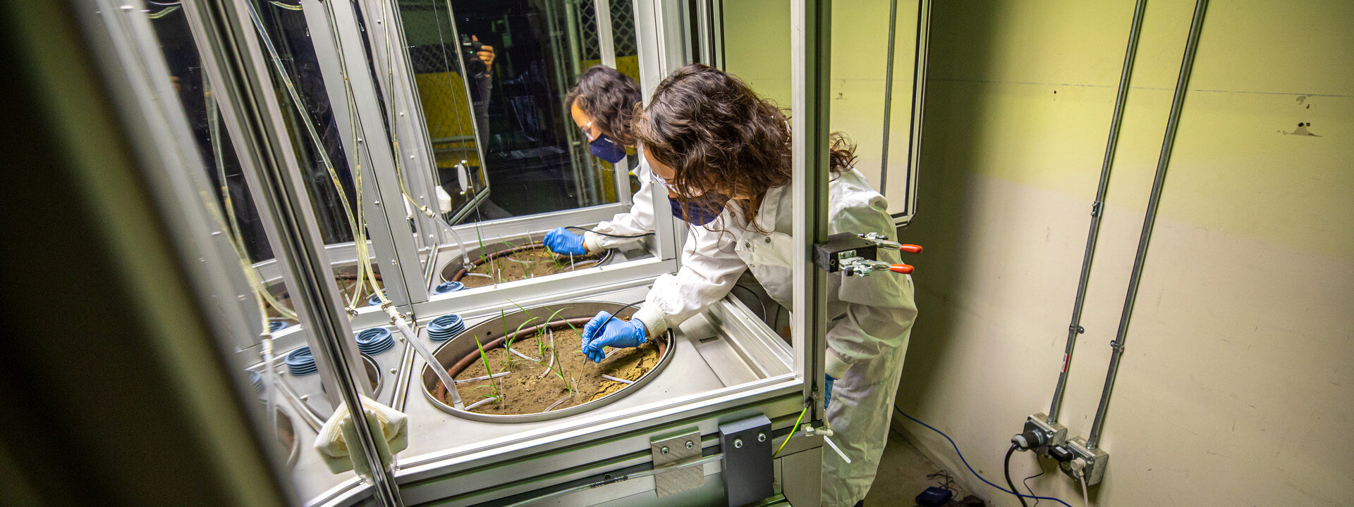 Scientist looks over plants in the EcoPOD.