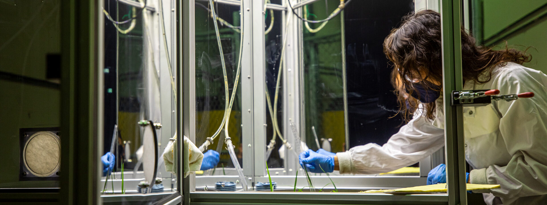 Scientist works in a plant ecological research pod.