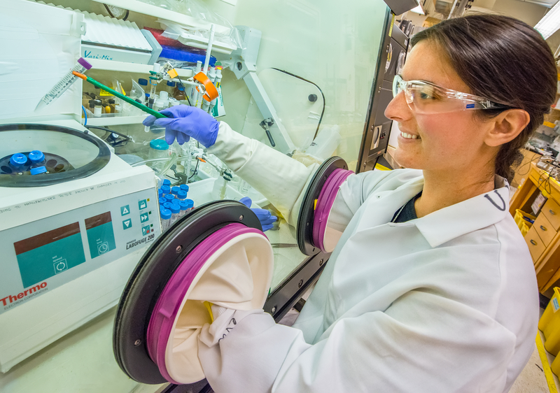 Scientist working in a glove box at the lab.