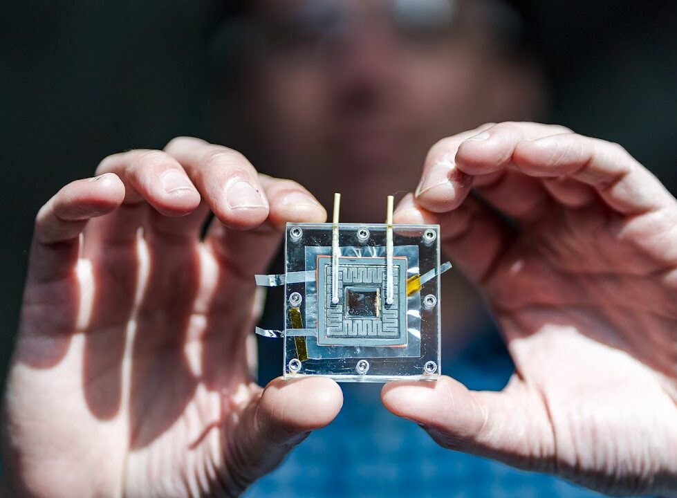 Person holding a microchip in front of the camera.