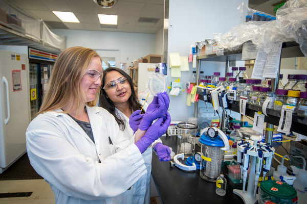 Two scientists with long hair standing at a lab bench top inspecting a petri-dish