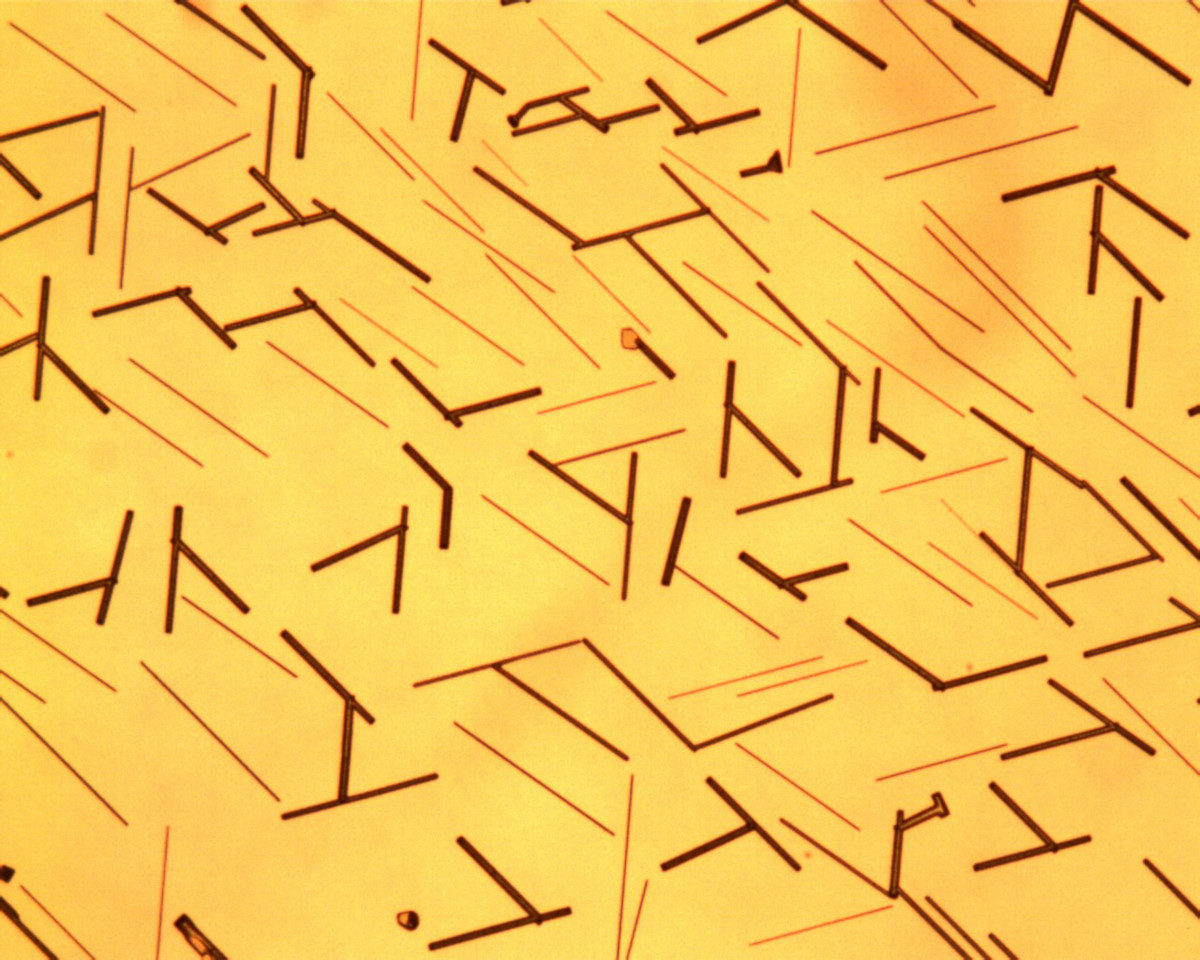 Light microscopy image of nanowires.