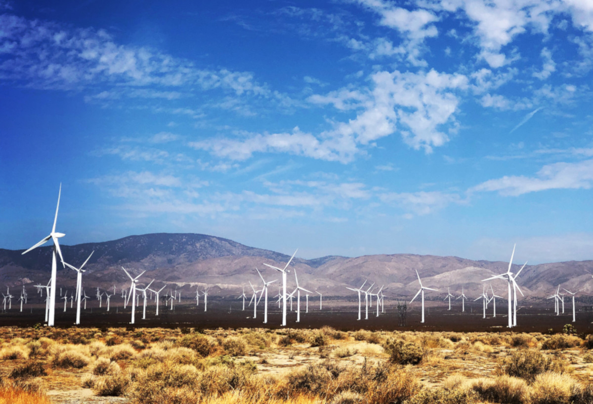 Rows of wind mills in a field against mountains and a blue sky.