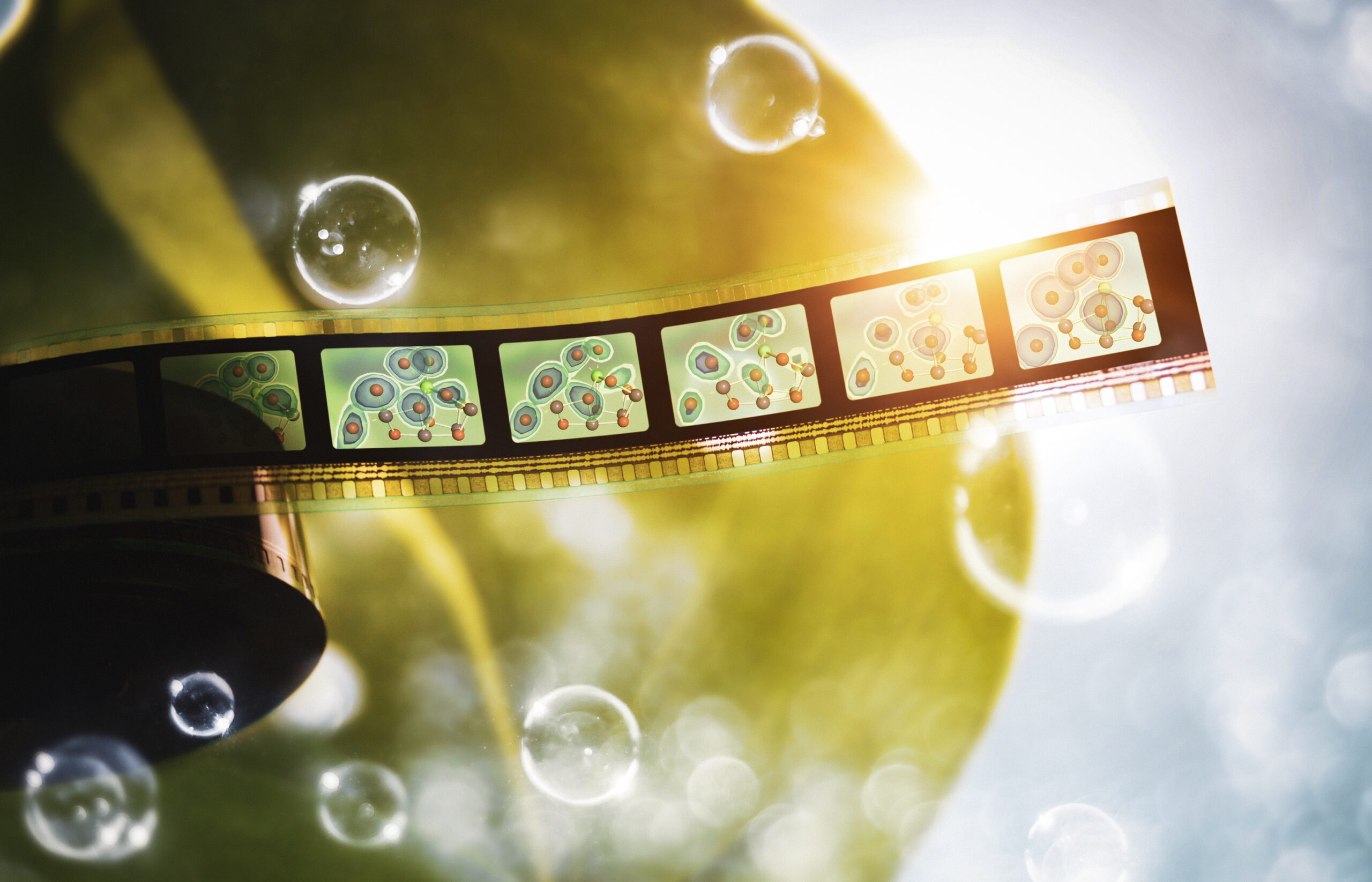 Composite image of a film strip along the top of the frame. A sun flare occupies the top left side with various bubbles floating throughout the image.