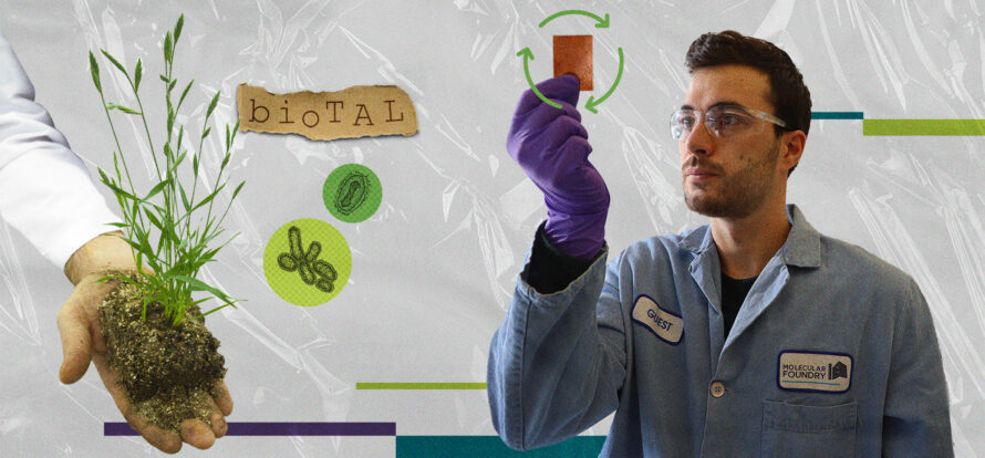 Collage of biotal, a hand holding a plant, and a researcher holding up a recyclable plastic
