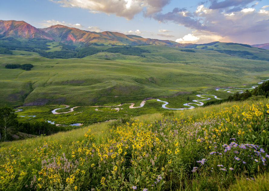 Wildflowers against a winding river, green fields, and mountains at Crested Butte, Colorado.