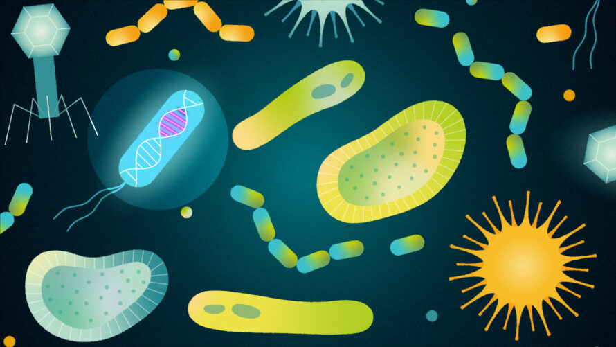 Illustration of colorful microbes. One microbe is not like the rest.