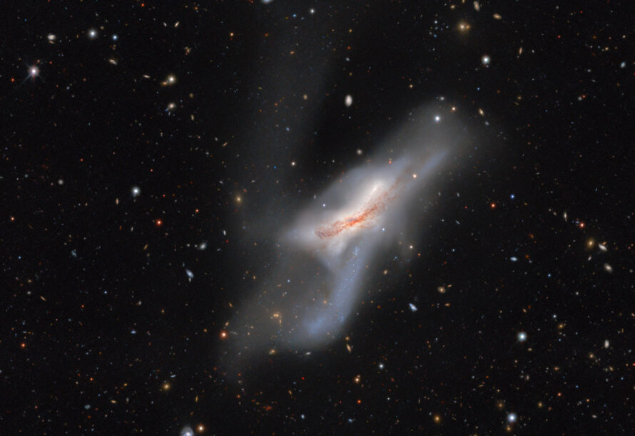 NGC 520, one of the largest and brightest galaxies in the Siena Galaxy Atlas.