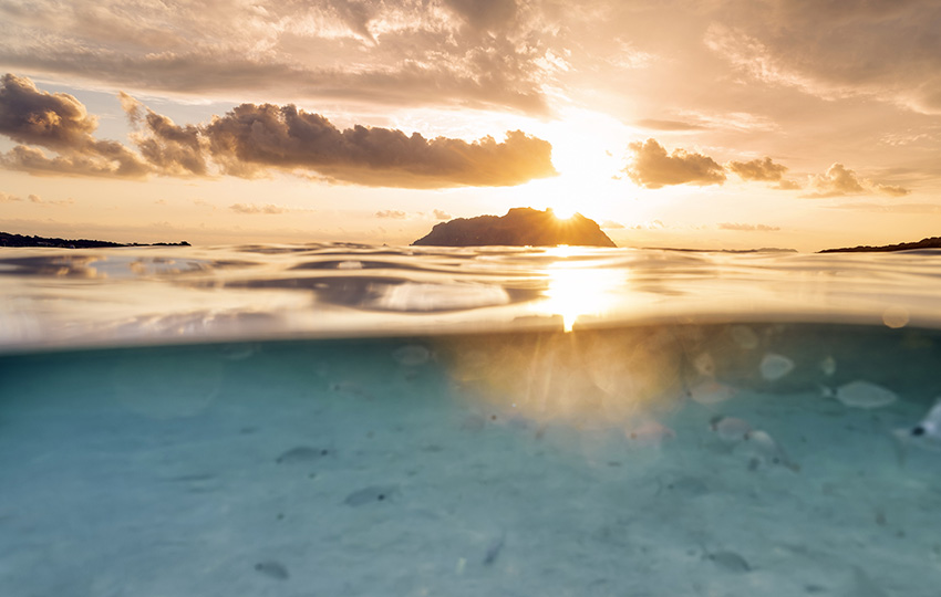 Split shot, over under water surface. Defocused fish under the waterline with an island on the surface during a dramatic sunrise.