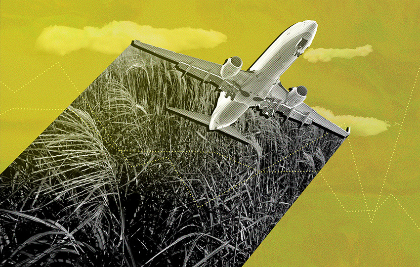 Digital collage of plane flying through the air fueled by crops.