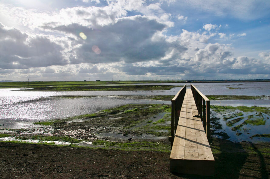 A wooden walkway over a marshy flat area with shallow water and visible vegetation. Set against a bright blue sky with clouds.
