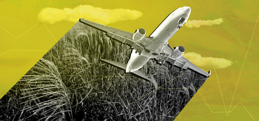 Digital collage of plane flying through the air fueled by crops.