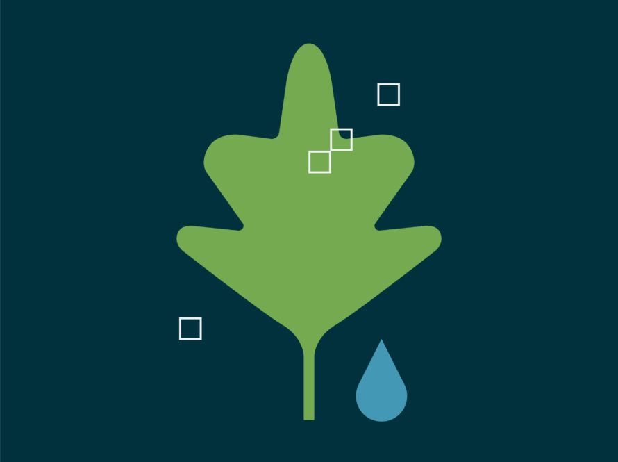 Illustration of a leaf with an overlaid grid pattern, with a few grid squares forming a small pattern outside. The leaf is green, set against a dark navy background.