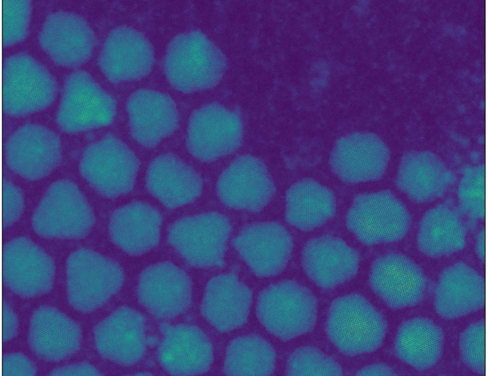Atomic-resolution image of ROI 19.