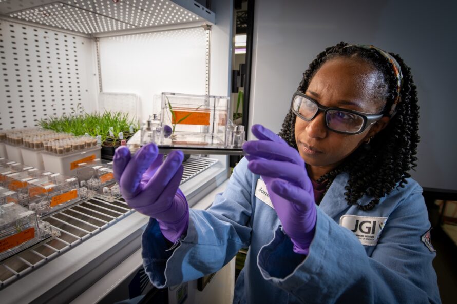 Jonelle Basso, Research Scientist, Joint Genome Institute (JGI), checks the growth of plants she is investigating at a growth chamber in the Integrative Genomics Building