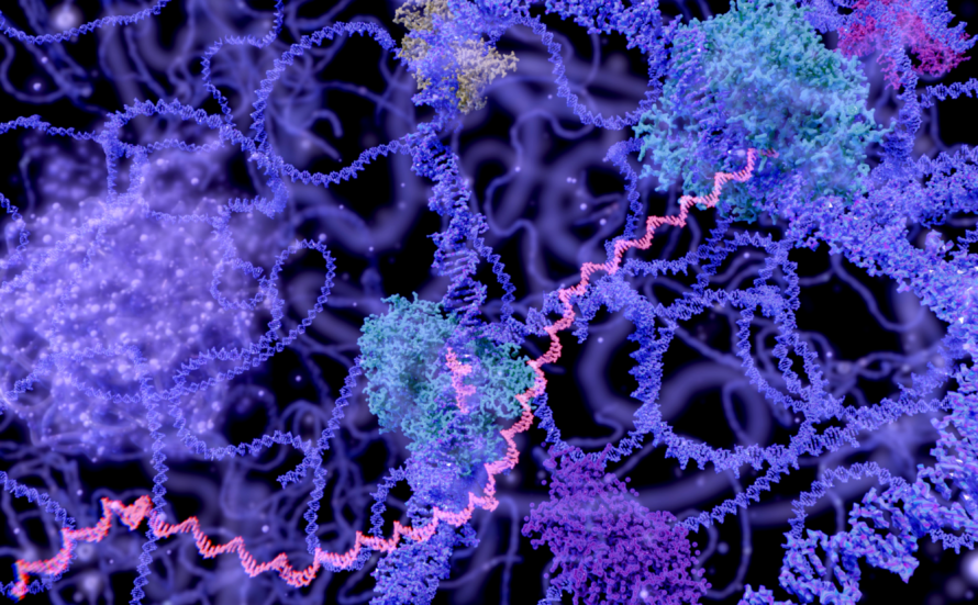 Purple double helices cluster on a black background, with blue clump-shaped molecules wrapped around the strands