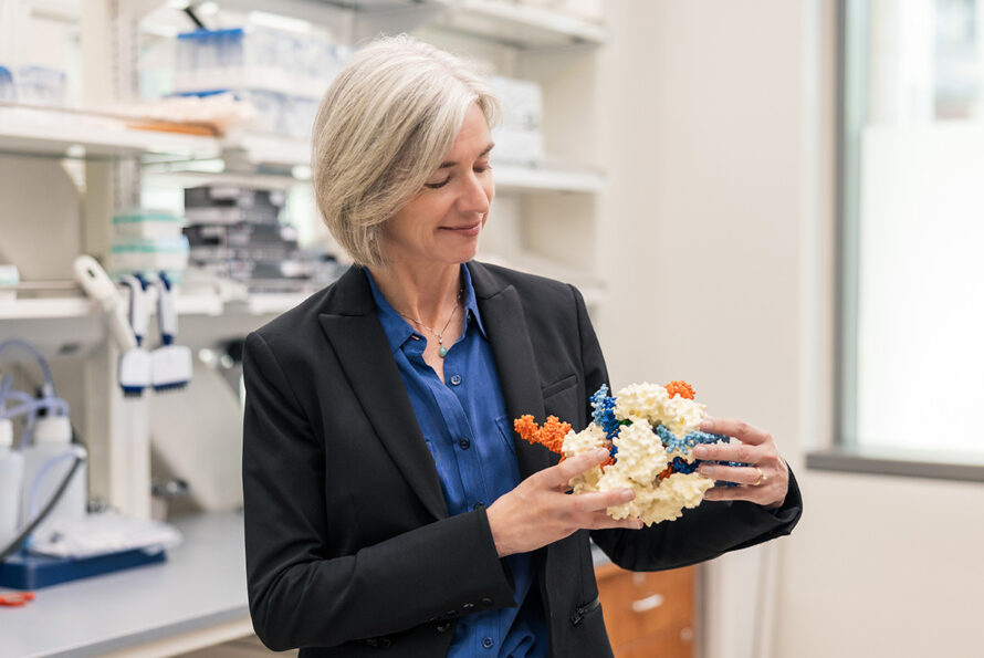 Jennifer Doudna holding a CRISPR model in a lab space.