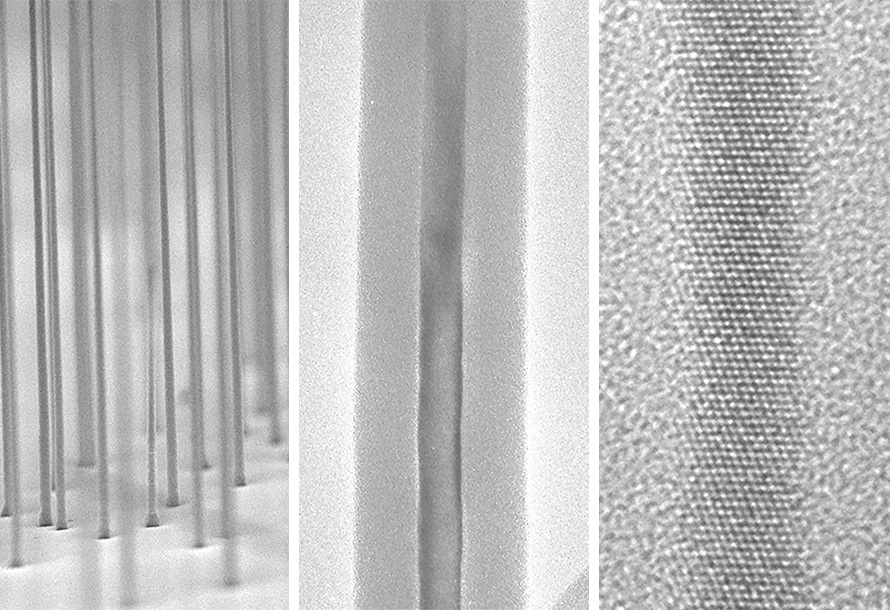 Electron microscope images
