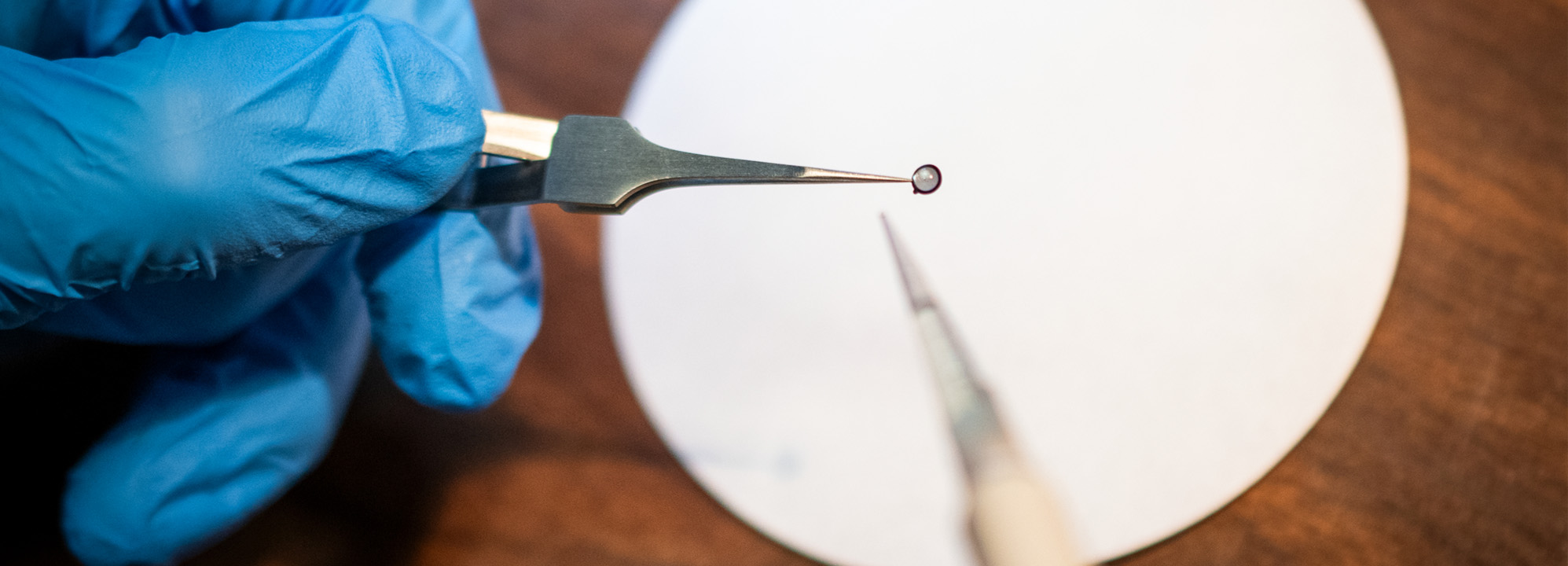 A gloved hand holds a tiny round device with pinchers.