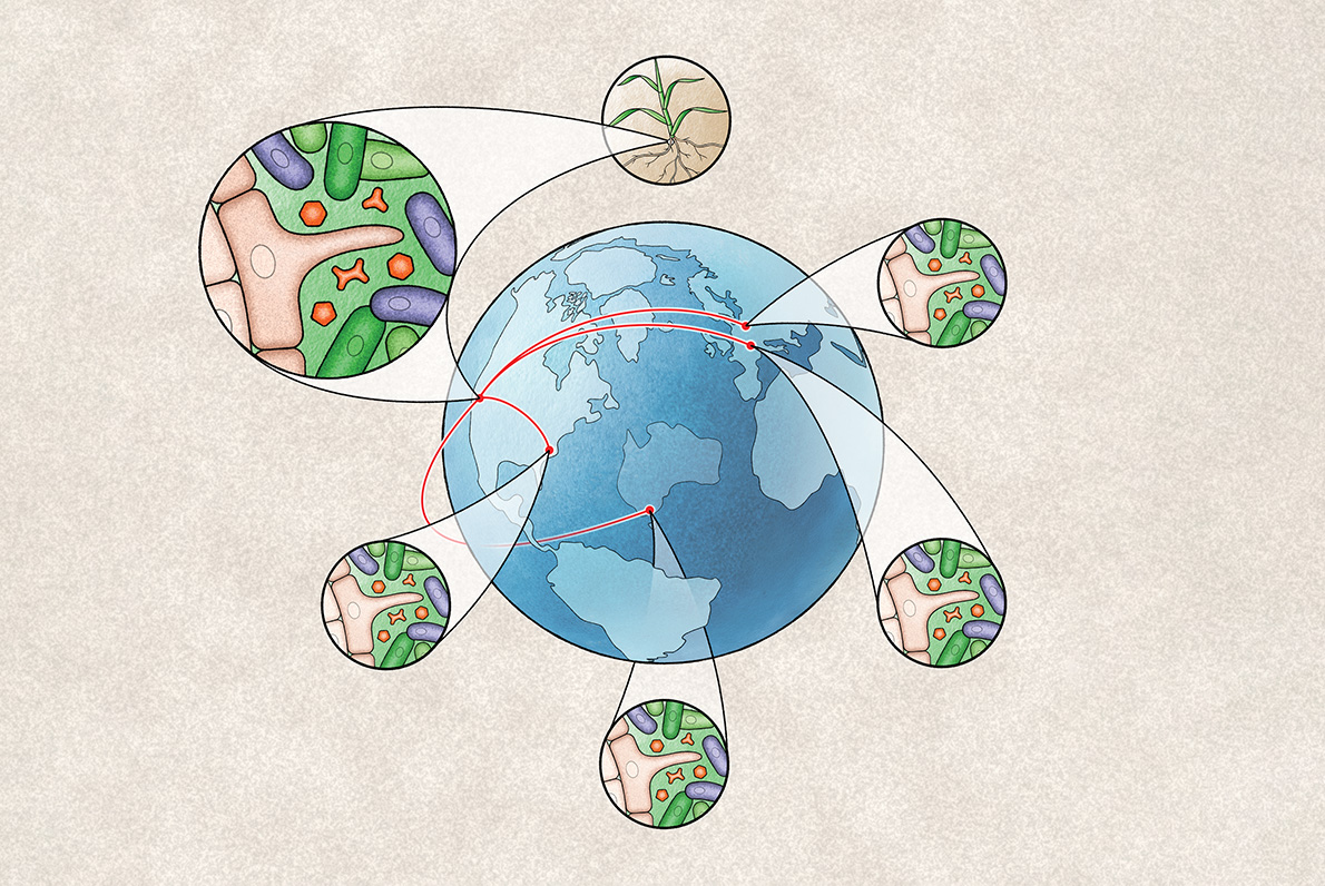 Drawn illustration of microbes and the world
