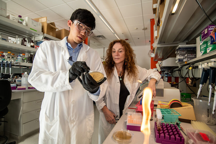 A man in lab coat, gloves, and protective eyewear examines a petri dish beside a woman in a lab coat inside a lab room. A bunsen burner flame can be seen in the foreground.