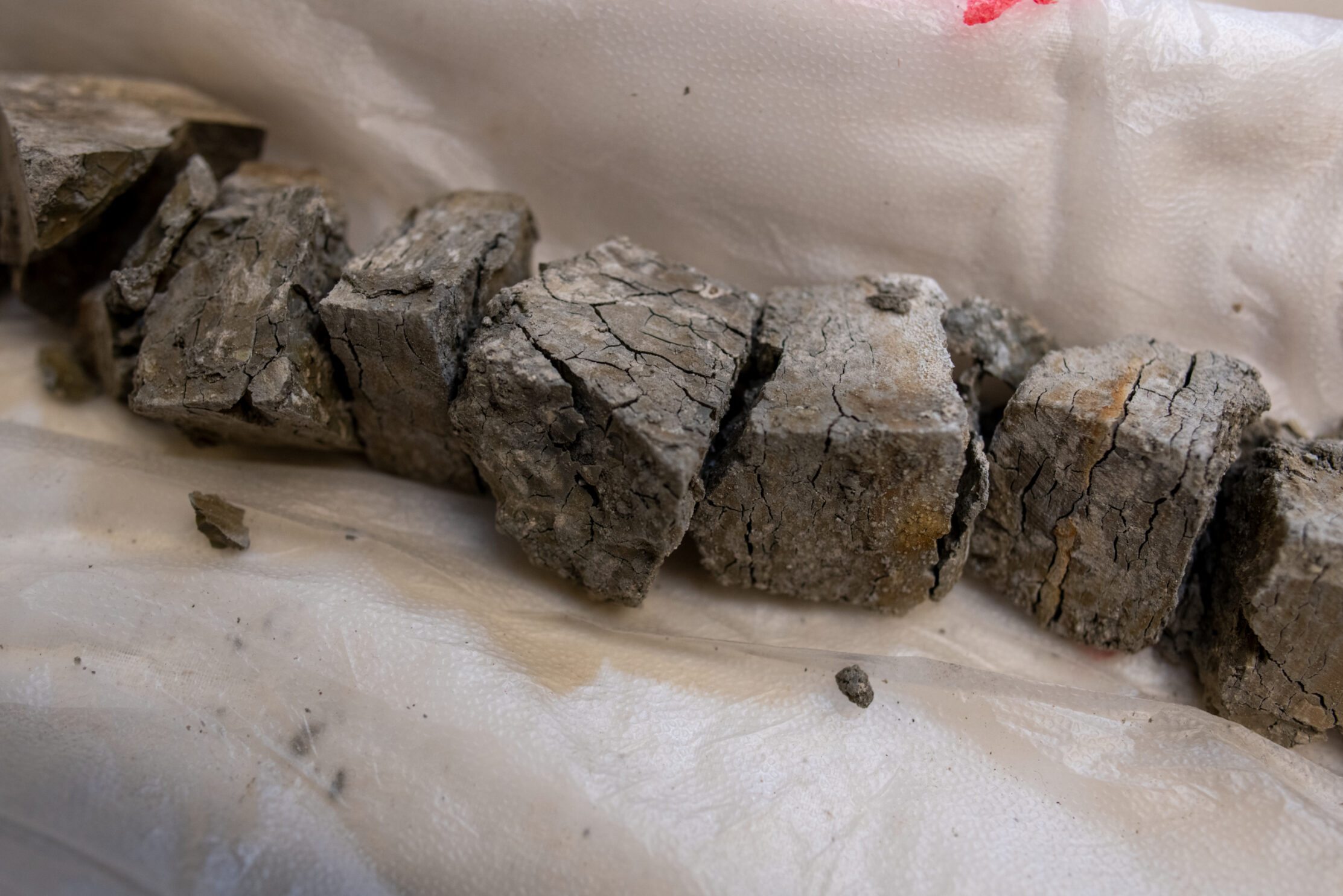Five stones lined in a row on a white cloth