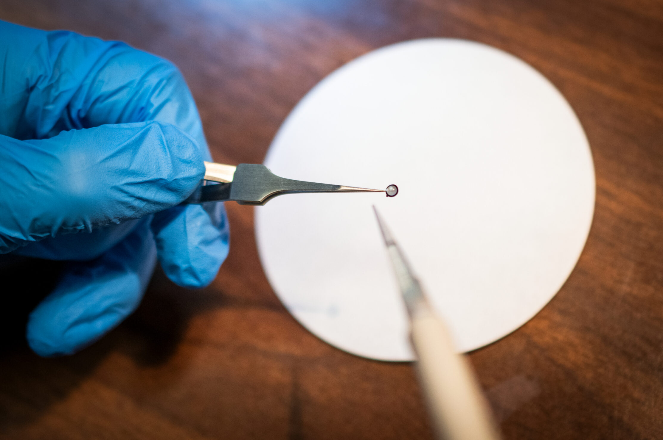Hand wearing a blue glove holding a thin metal rod with a sample